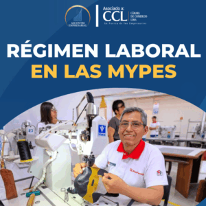 014TAL2025 - REGIMEN LABORAL EN LAS MYPES