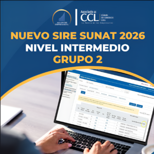 033CUR2026 - NUEVO SIRE SUNAT 2026 - INTERMEDIO - GRUPO 2
